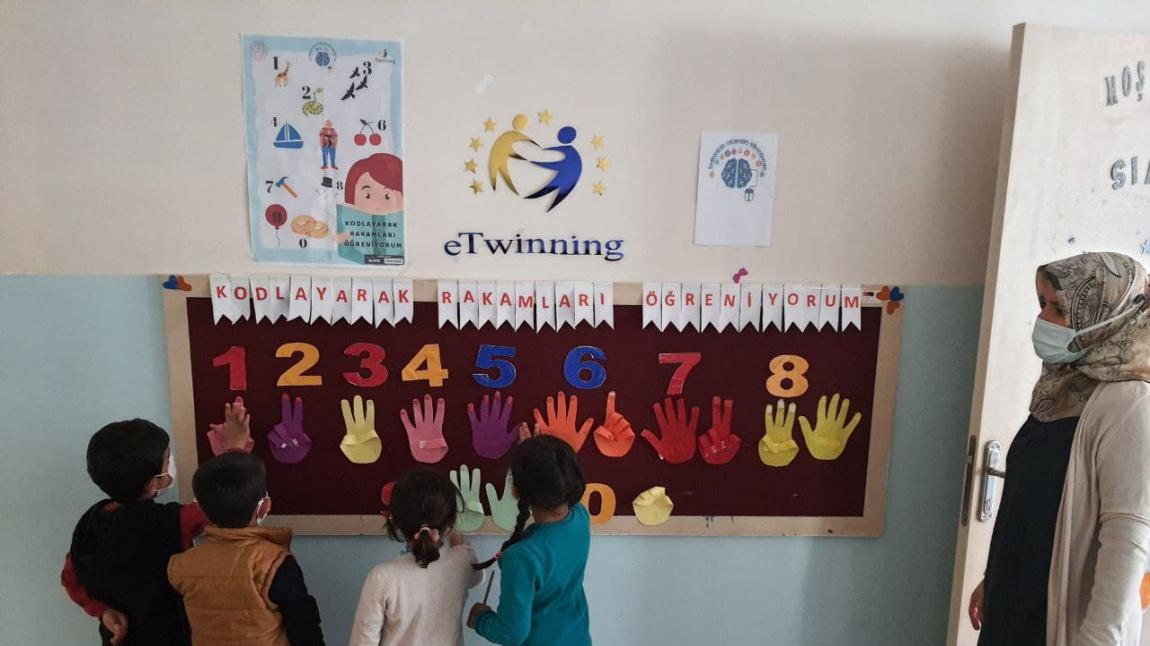 Okul Öncesi Öğretmenimizin E-Twinning Çalışmaları Başladı